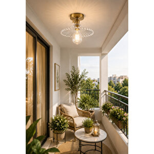 Torino Model Şeffaf Cam Klasik Salon Balkon Mutfak Oturma Odası Plafonyer Tekli Avize Şeffaf