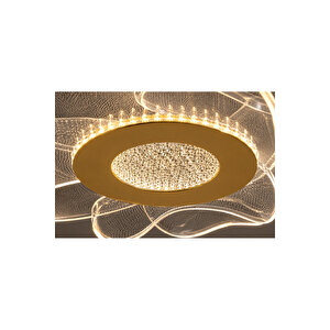 Fresh Model Gold Kaplama 3 Renk Metal Salon Mutfak Oturma Yatak Odası Modern Led Sarkıt Avize