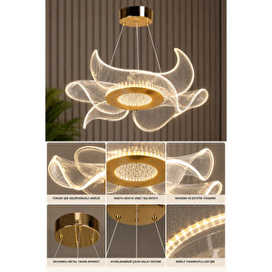 Fresh Model Gold Kaplama 3 Renk Metal Salon Mutfak Oturma Yatak Odası Modern Led Sarkıt Avize