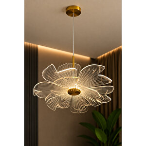 Melek Model Gold Kaplama 3 Renk Metal Salon Mutfak Oturma Yatak Odası Modern Led Sarkıt Avize