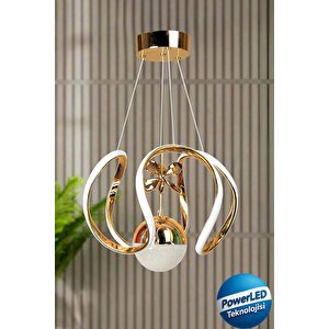 Clasy Model Gold Kaplama Metal Salon Mutfak Oturma Yatak Odası Modern Led Beyaz Işık Avize