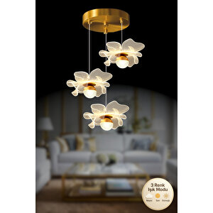 Magnolya Model 3 Lü Gold Kaplama 3 Renk Salon Mutfak Oturma Yatak Odası Modern Led Sarkıt Avize