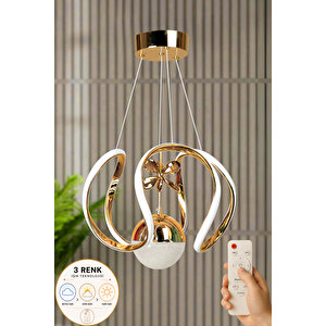 Rose Model 3 Renk Kumandalı Salon Yemek Çocuk Odası Hol Antre Koridor Gold Kaplama Led Sarkıt Avize