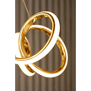 Spiral Model Gold Kaplama Metal Salon Mutfak Oturma Yatak Odası Modern Led Sarkıt Avize