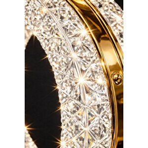 Athena Model Gold Kaplama Salon Mutfak Oturma Yatak Odası Duvar Modern Şık Led Aplik