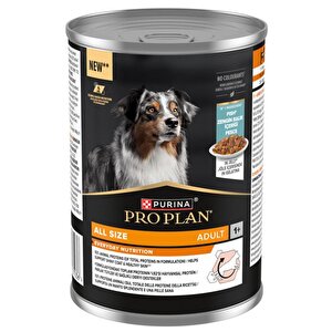 Balıklı Yetişkin Köpek Konservesi 400 Gr X 10 Adet 10 Adet