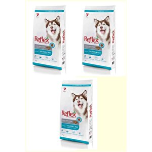 Somonlu Ve Pirinçli Yetişkin Köpek Maması 3 Kg X 3 Adet 3 Adet