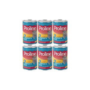 Somonlu Ve Alabalıklı Yetişkin Kedi Konservesi 400 Gr X 6 Adet 6 Adet