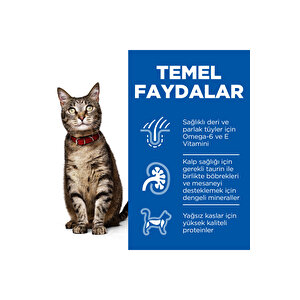 Scıence Plan Kuzulu Yetişkin Kedi Maması 1.5 Kg X 3 Adet 3 Adet