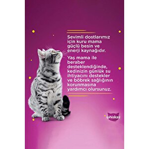 Konserve Sığırlı Kedi Mama 24 X 400 Gr