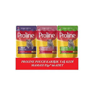 Pouch Karışık Yaş Kedi Mama 66 X 85 Gr