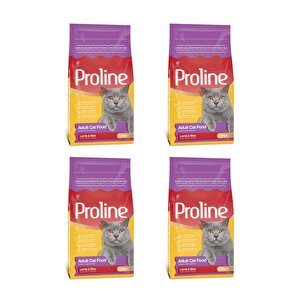 Kuzu Etli-pirinçli Kedi Maması 1200 Gr X 4 Paket (kilitli Ambalaj)
