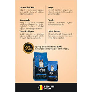 Plus Somonlu Yetişkin Kedi Maması 15 Kg