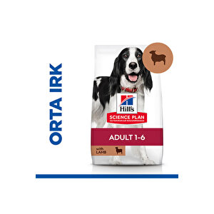 Hill's Scıence Plan Adult Medium Lamb Ve Rice Orta Irk Kuzulu Yetişkin Köpek Maması 14 Kg