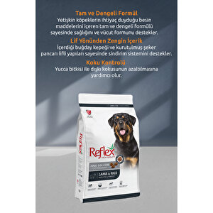 Kuzu Etli Ve Pirinçli Yetişkin Köpek Maması 15 Kg X 2