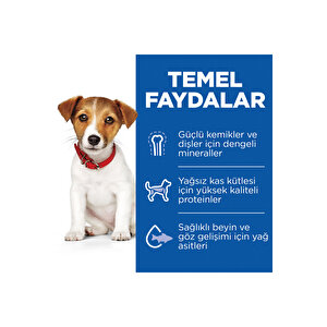 Mini Irk Kuzulu Pirinçli Yavru Köpek Maması 6 Kg