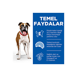 Hill's Scıence Plan Adult Light Medium Chicken Orta Irk Tavuklu Light Köpek Maması 14 Kg
