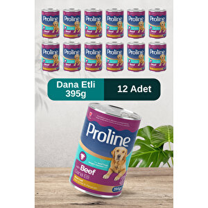 Dana Etli Yetişkin Köpek Konservesi 395 Gr X 12 Adet