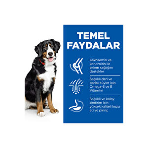 Kuzu Etli Büyük İrk Yetişkin Köpek Maması - 14 Kg
