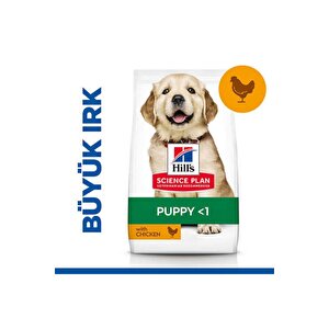Scıence Plan Büyük Irk Tavuklu Yavru Köpek Maması 2,5 Kg