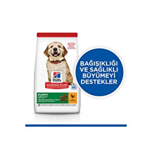 Scıence Plan Büyük Irk Tavuklu Yavru Köpek Maması 2,5 Kg