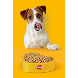Rodeo Köpek Çiğneme Çerezi 70 G 5x