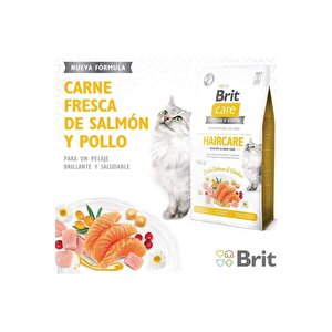 Haircare Hypoallergenic Healthy Ve Shiny Coat Tavuklu Ve Somonlu Tahılsız Yetişkin Kedi Mam