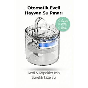 Vexgen 4 Berry Filtreli Otomatik Evcil Hayvan Su Pınarı 2l Sessiz Pompa Kedi Köpek Su Sebili