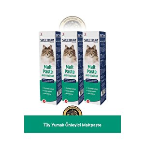Care Anti Hairball - Tüy Yumağı Önleyici Kedi Malt Paste - Kedi Malt Macunu 100 Gr - 3'lü K