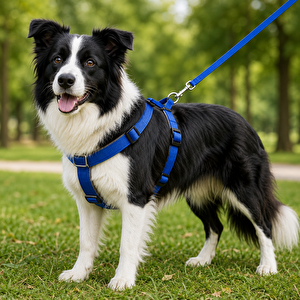 Gezdirme Kayışlı Dokuma Köpek Göğüs Tasma Seti 40*60-110 Cm Mavi
