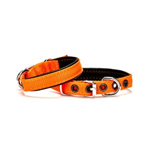 Doggie Softlu Köpek Boyun Tasması 1,5 Cm X 35 Cm Turuncu
