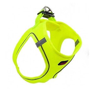 Tailpetz Air Mesh Köpek Göğüs Tasması Xsmall 32x36 Cm Neon Lime