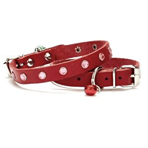 Doggie Taşlı Kedi Ve Yavru Köpek Tasması 1,0x19 Cm Kırmızı Small