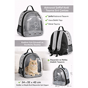 Kalpli Patili Astronot Şeffaf Taşıma Sırt Çantası Gri 24x32x42 Cm