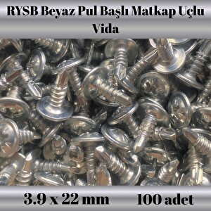 Rysb 3.9x22 Mm 100 Adet Beyaz Pul Başlı Matkap Uçlu Vida Otomatik Vida