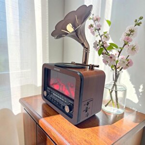 Sp-450 Nostaljik Radyo Bluetooth/usb/sd Kart Girişli Şömine Efektli