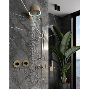 Retro Ankastre Duş Sistemi Brush Gold (aplik) Rwl2000