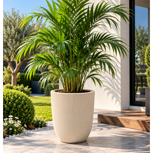 So-palm3 Palmiye Dekoratif Plastik Saksı İç Kovalı 30 Lt No: 3 Krem
