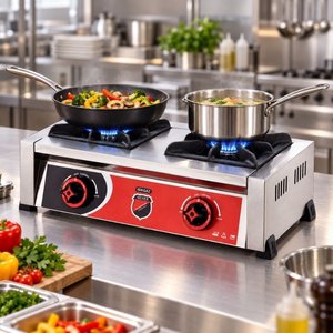 Silverinox Doğalgazlı Set Üstü Mini 2 Gözlü Ocak