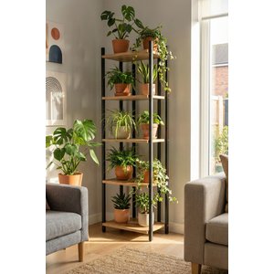 Zen 5 Katli Çam Ki̇taplik 6005