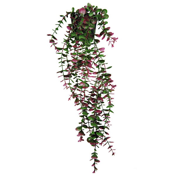 Lilac Home Özel Tasarım İki Renkli Elmas Siyah Saksılı Fuşya - Yeşil Okaliptus Sarkıtı