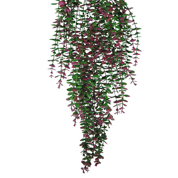Lilac Home Özel Tasarım İki Renkli Kırmızı - Yeşil Okaliptus Sarkıtı