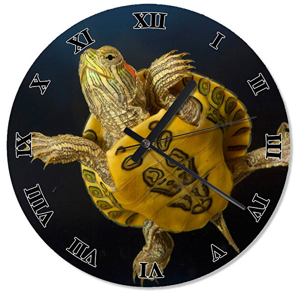 Cakasaat Sarı Su Kaplumbağası Tasarım Duvar Saati