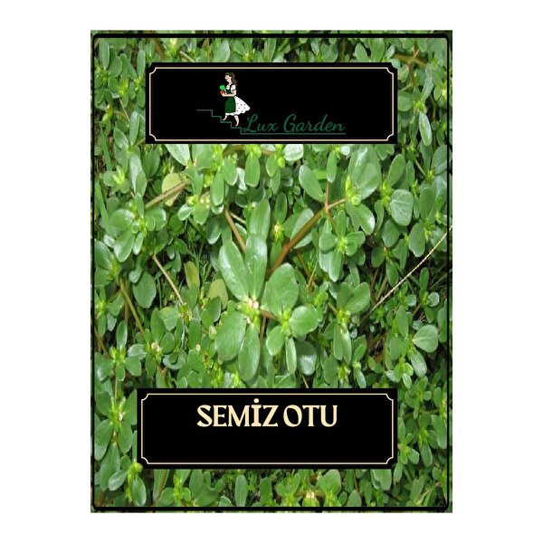 Vaqtni toxtatish porno film Besh kishining pornosi