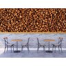 Kahve Çekirdekleri Temalı Cafe Duvar Kağıdı Baskı - Dkb274079