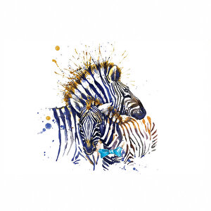 Renkli Zebra Dev Boyut Kanvas Tablo HAZE-009