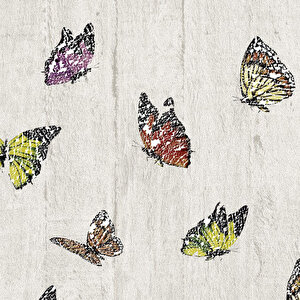 3D Single Kelebek Desen Duvar Kağıdı 2058