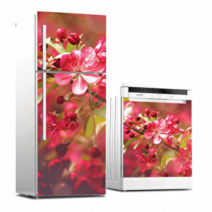 Tilki Dünyası Buzdolabı Ve Bulaşık Makinesi Takım Sticker 0076