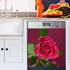 Tilki Dünyası Gül Güzeli Bulaşık Makinesi Kapak Stickerı Tilki/74175