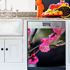 Tilki Dünyası Pembe Güzellik Bulaşık Makinesi Kapak Stickerı Tilki/74165
